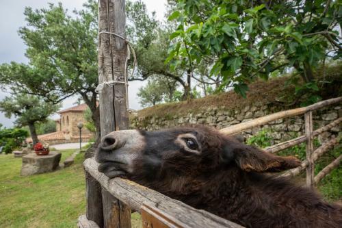 Agroturismo Villa Nigro