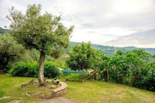 Agroturismo Villa Nigro