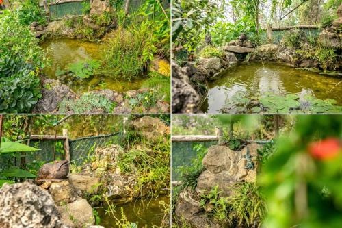 Agroturismo Villa Nigro