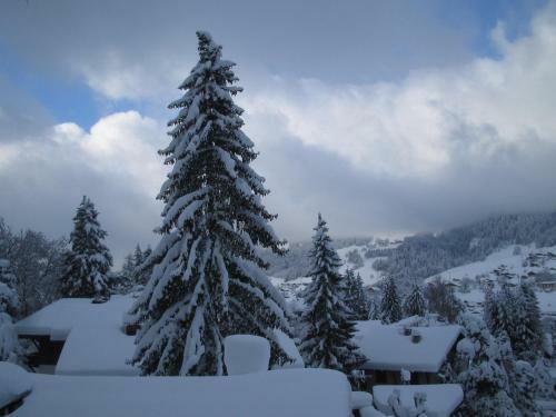 Hotel Alp-h�tel