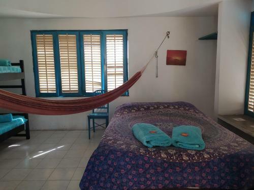 Hostal Jardin Etnobotanico Villa Ludovica