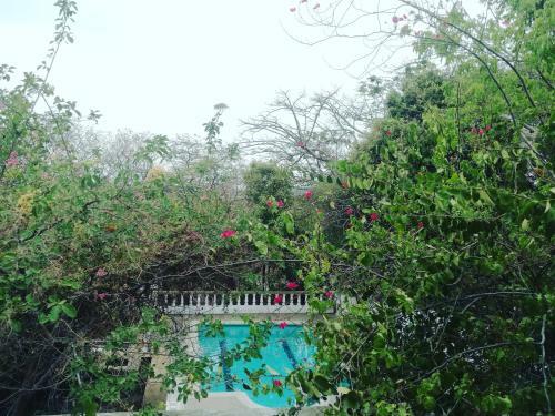 Hostal Jardin Etnobotanico Villa Ludovica