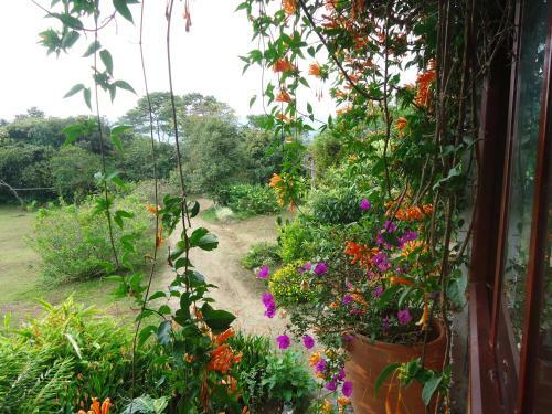 Hostal Hotel Pachamama