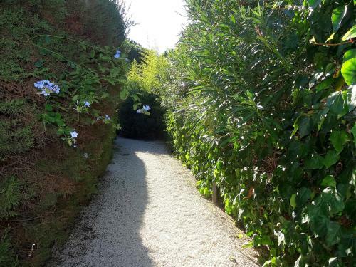 Apartamentos Residence L'espadon II Saint Tropez
