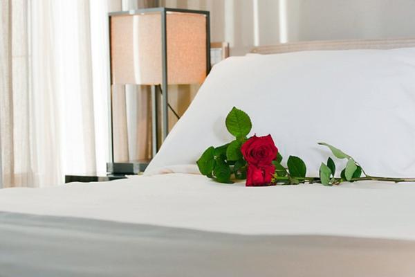 Hotel San Pietro All Orto 6