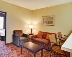 Hotel Comfort Suites Mckinney-allen