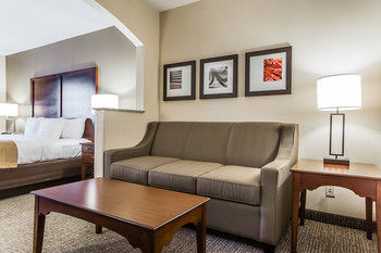 Hotel Comfort Suites Sumter