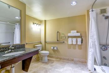 Hotel Holiday Inn Indianapolis North-carmel