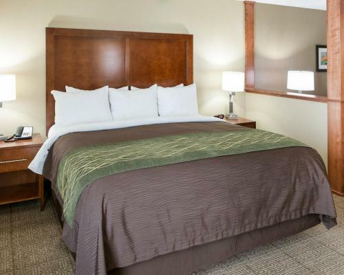 Hotel Comfort Inn & Suites- Rochester