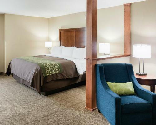 Hotel Comfort Inn & Suites- Rochester