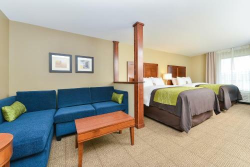Hotel Comfort Inn & Suites- Rochester