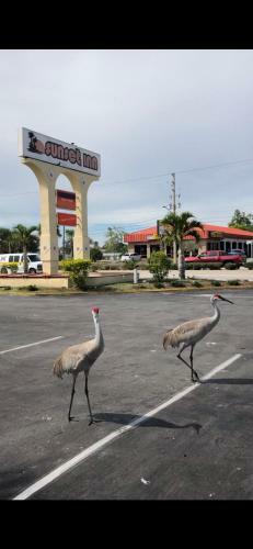 Motel Sunset Inn