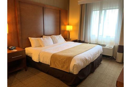 Hotel Comfort Suites Buffalo Airport