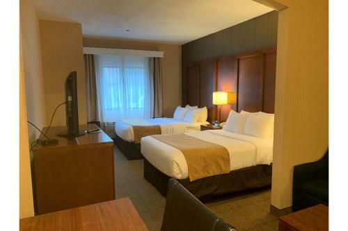 Hotel Comfort Suites Buffalo Airport