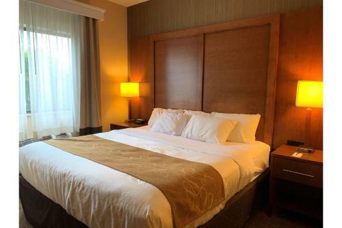 Hotel Comfort Suites Buffalo Airport