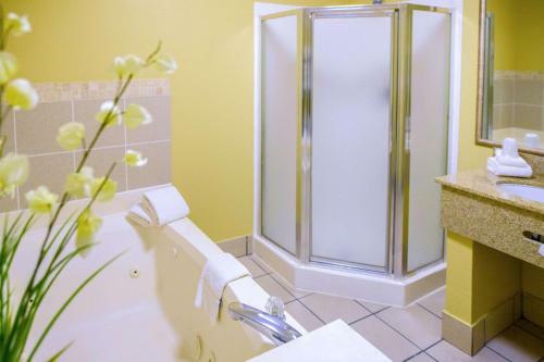 Hotel Quality Suites Cordova