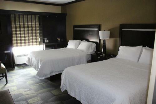 Hotel Hampton Inn & Suites Big Spring