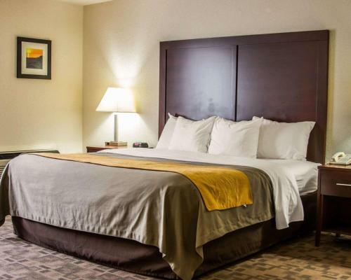 Hotel Comfort Inn Birch Run