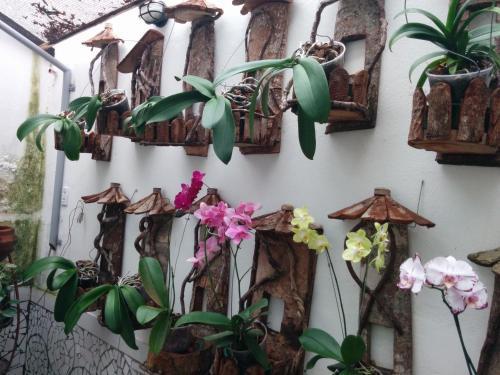 Hostal Pousada Norage