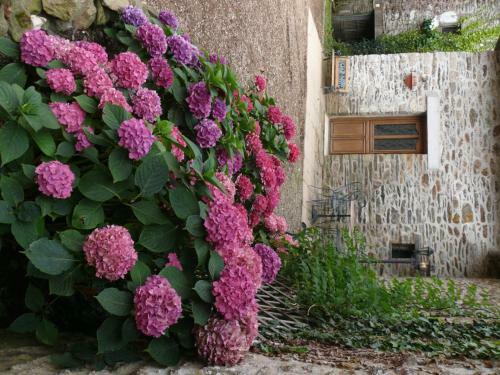 Apartamento Manoir Du Mur
