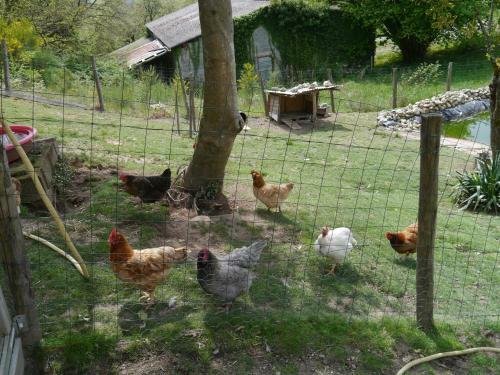 Bed & Breakfast Chambres D'h�tes Ajjana