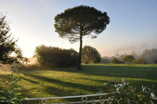 Hostal Ch�teau Le Tour - Chambres D'h�tes