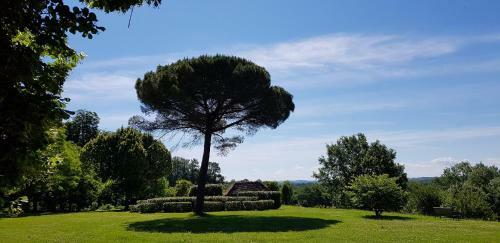 Hostal Ch�teau Le Tour - Chambres D'h�tes