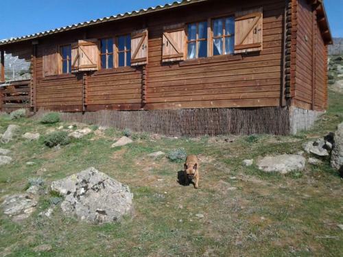 Les Chalets De Lozzi