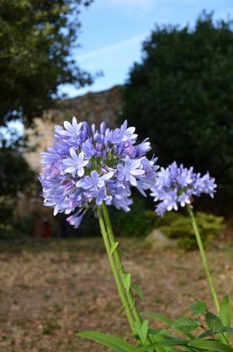 Bed & Breakfast Maison De Benedicte