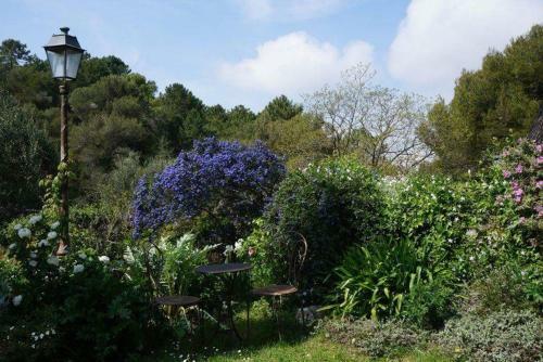 Bed & Breakfast La Vieille Bergerie