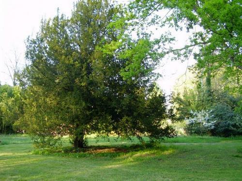 Bed & Breakfast Chambres D'h�tes Le Pont Romain