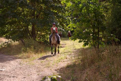 Bed & Breakfast Maison D'h�tes Du Domaine De Co�t Bihan