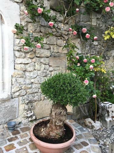 Bed & Breakfast Demeure Des Vieux Bains