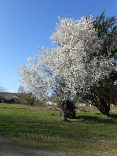 Clos Du Bois Brard B&B