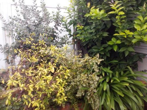 Bed & Breakfast Chambres D'h�tes Issy-paris