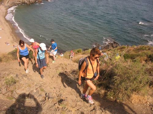 Camping Des Alberes