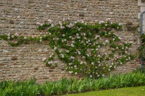 Bed & Breakfast Chambres D'h�tes La Pocterie