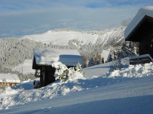 Chalets Savoie