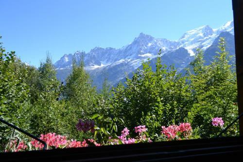 Chalet Les Soldanelles