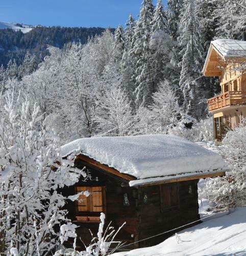 Chalet Les Soldanelles