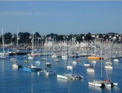 Camping Les Palmiers
