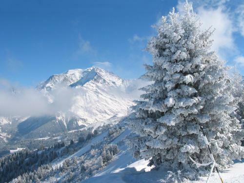 Apartamento Gerfaud Appartements En Chalet