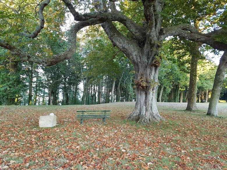 Hotel Manoir De Kergrec'h
