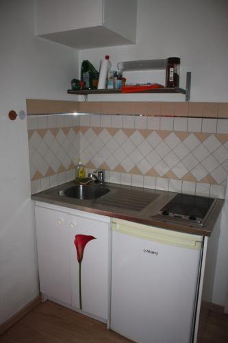 Apartamento Studio Dijon