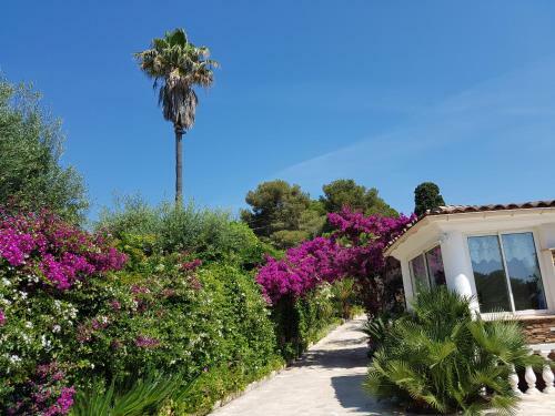 Villa Saray