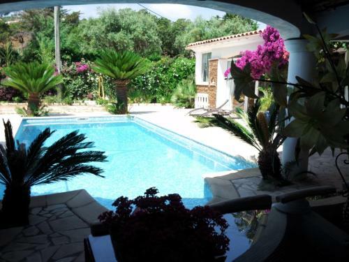 Villa Saray