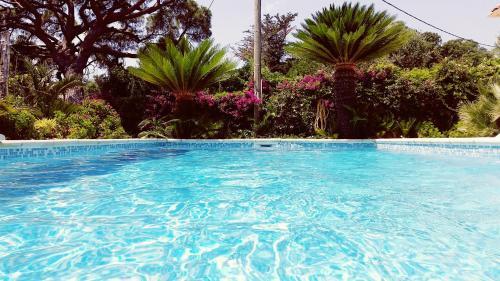 Villa Saray