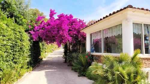 Villa Saray