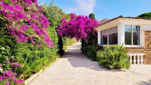 Villa Saray