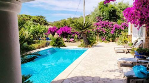 Villa Saray